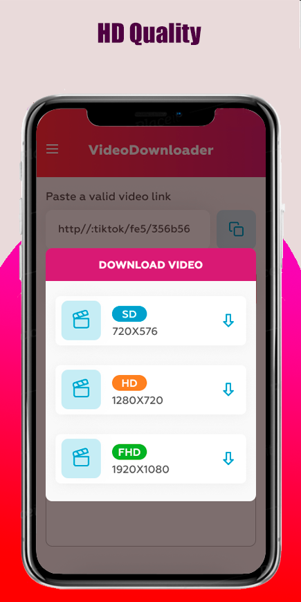 SSS Video Downloader app preview 3