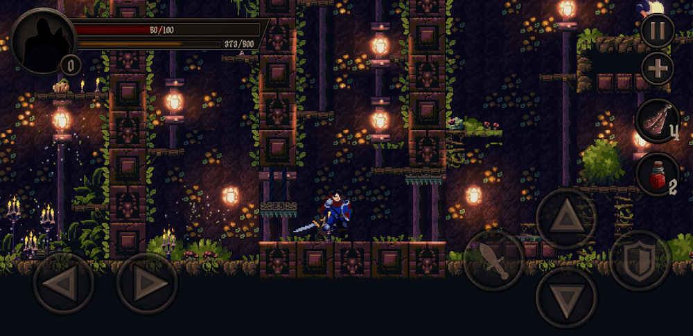Castellan screenshot 3