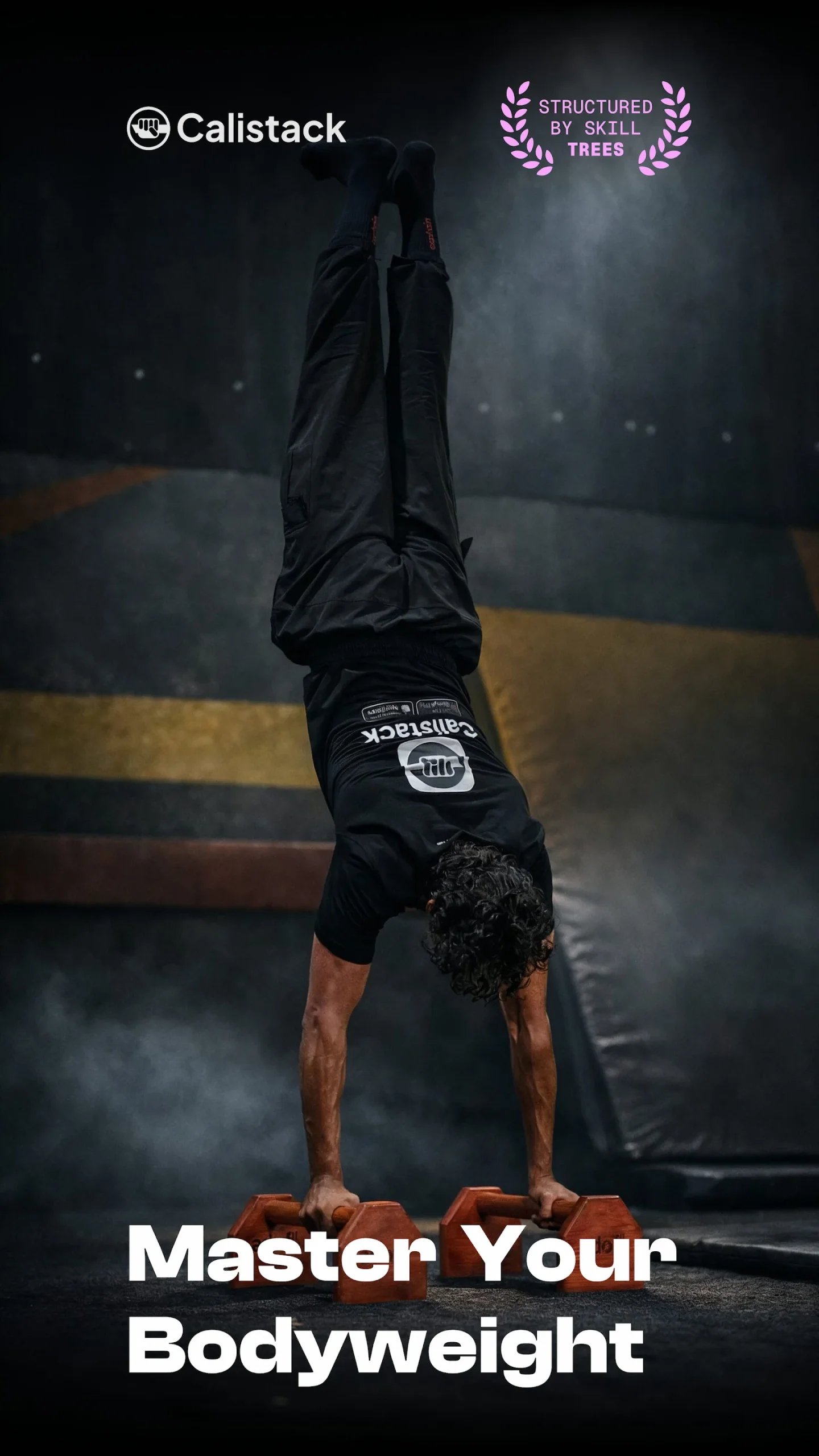 Calistack: Calisthenics Skills capture d'écran 1