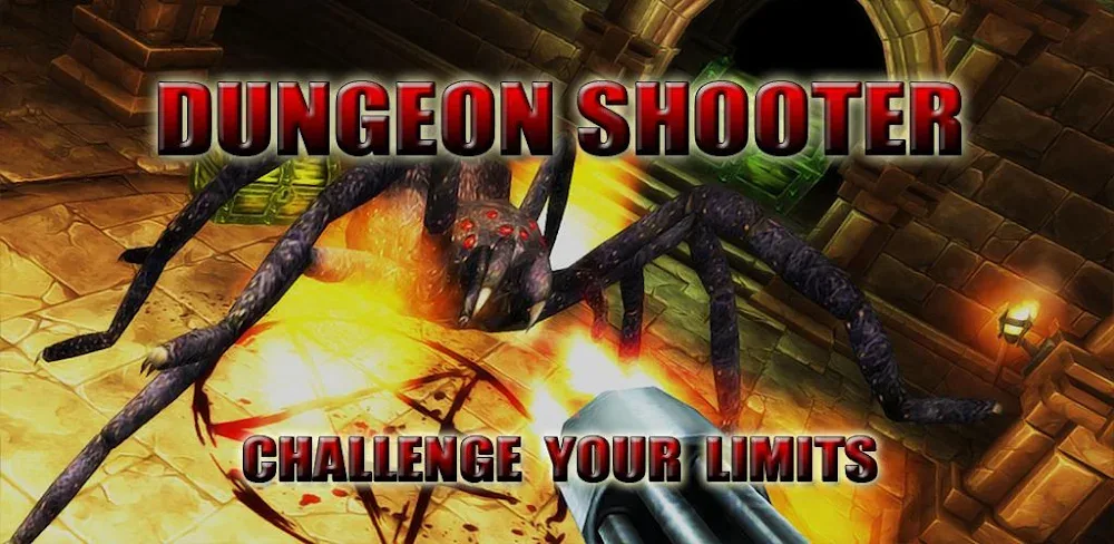 Dungeon Shooter: Dark Temple gameplay screenshot 1