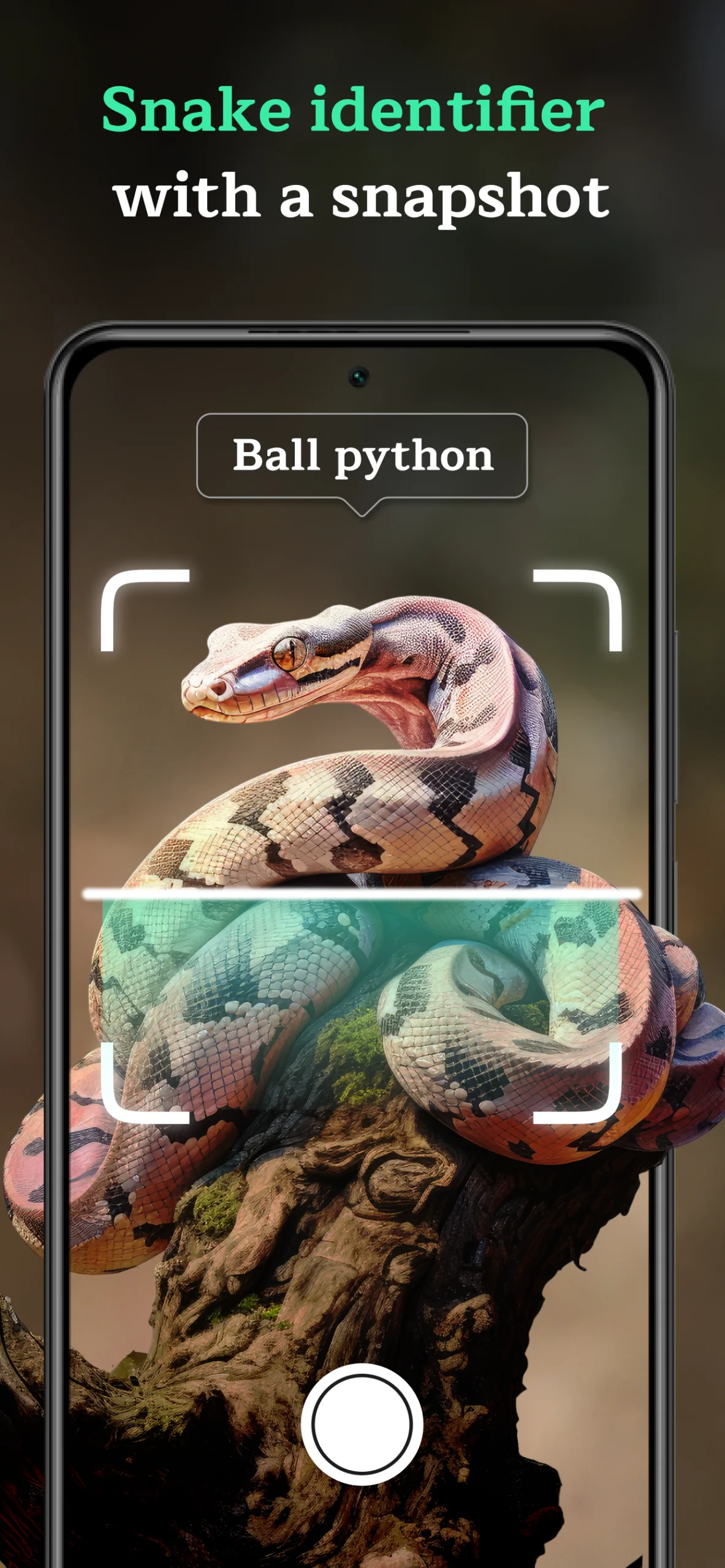 Tangkapan layar aplikasi Snake Identifier AI Scanner 1