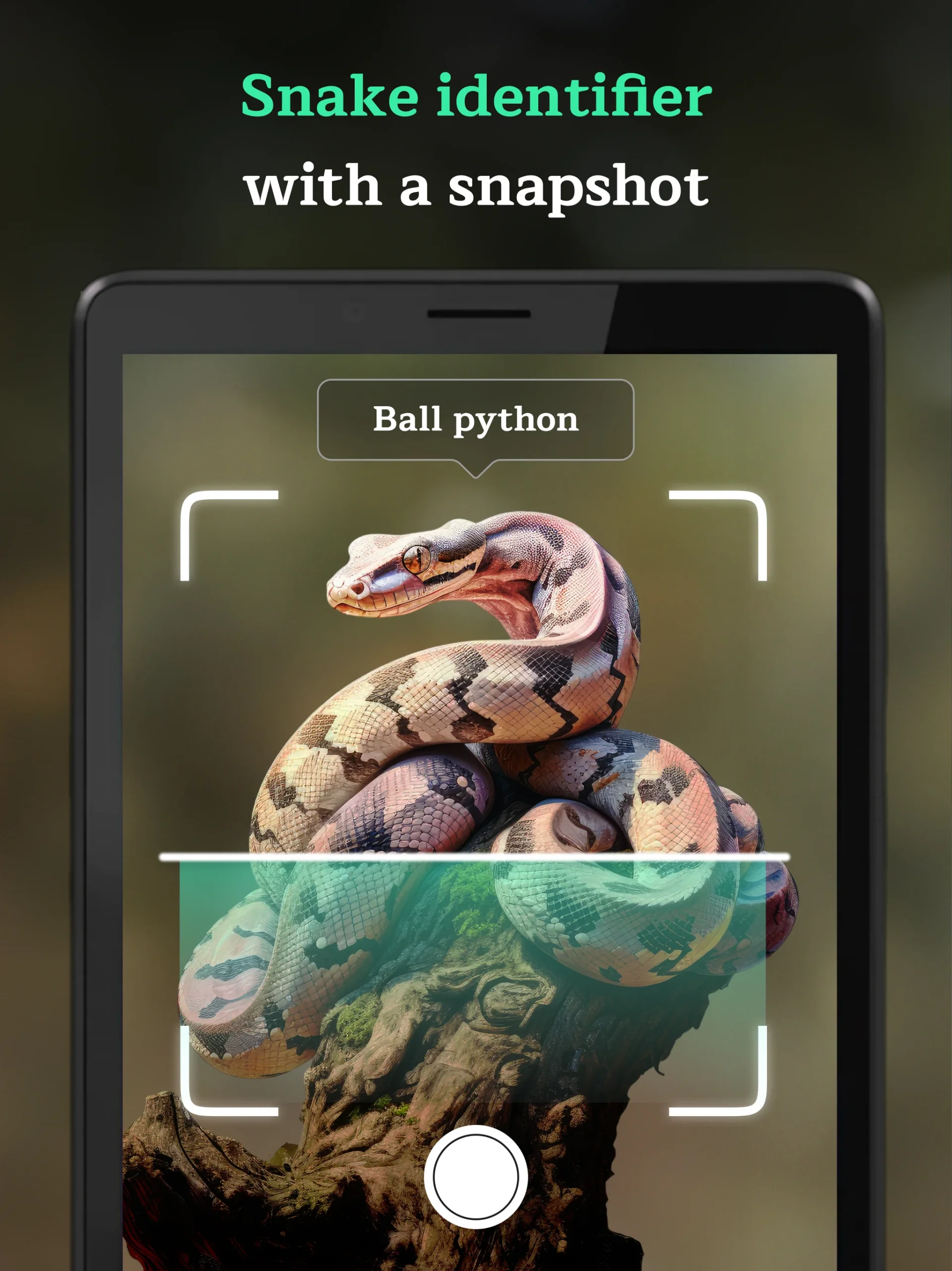 Tangkapan layar aplikasi Snake Identifier AI Scanner 5