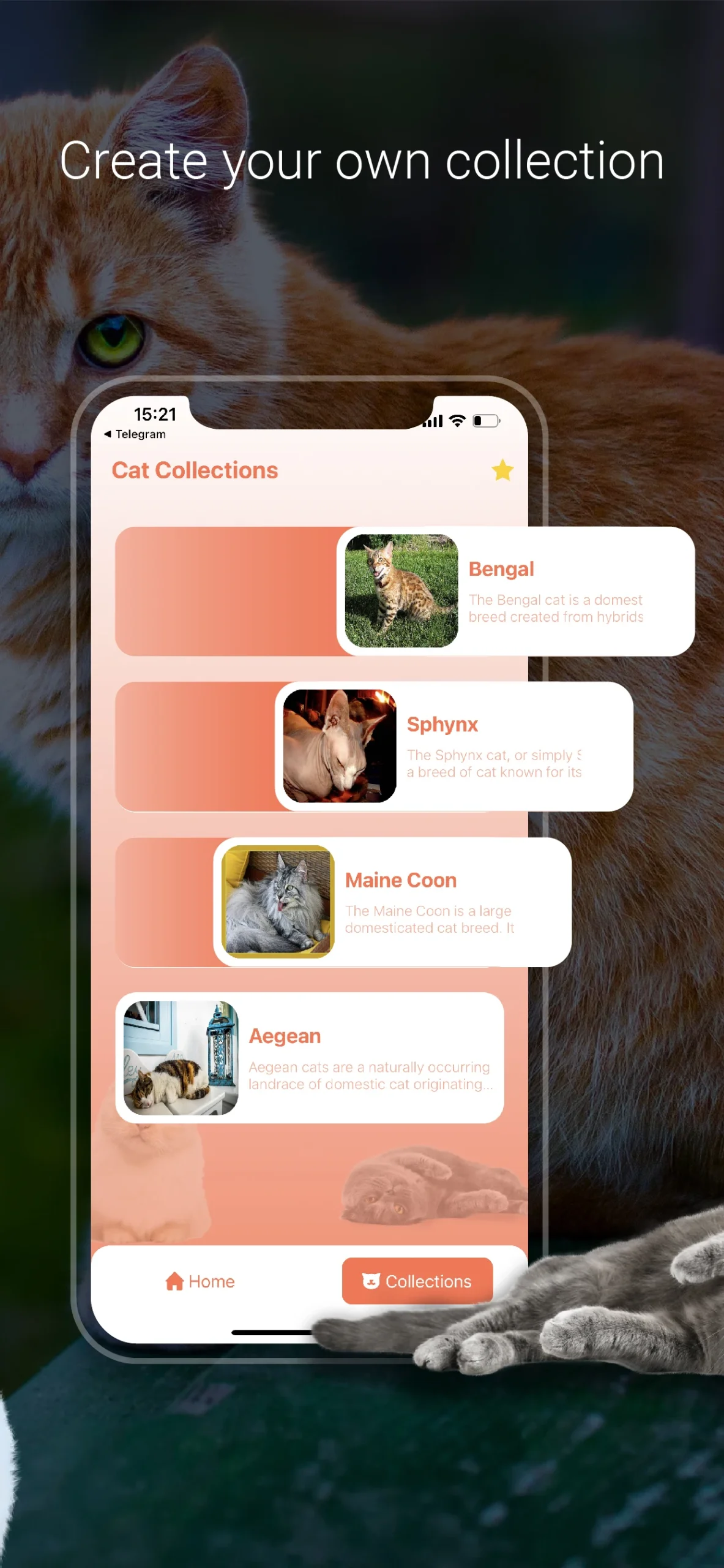 Cat Identifier - Cat Scanner preview image 3