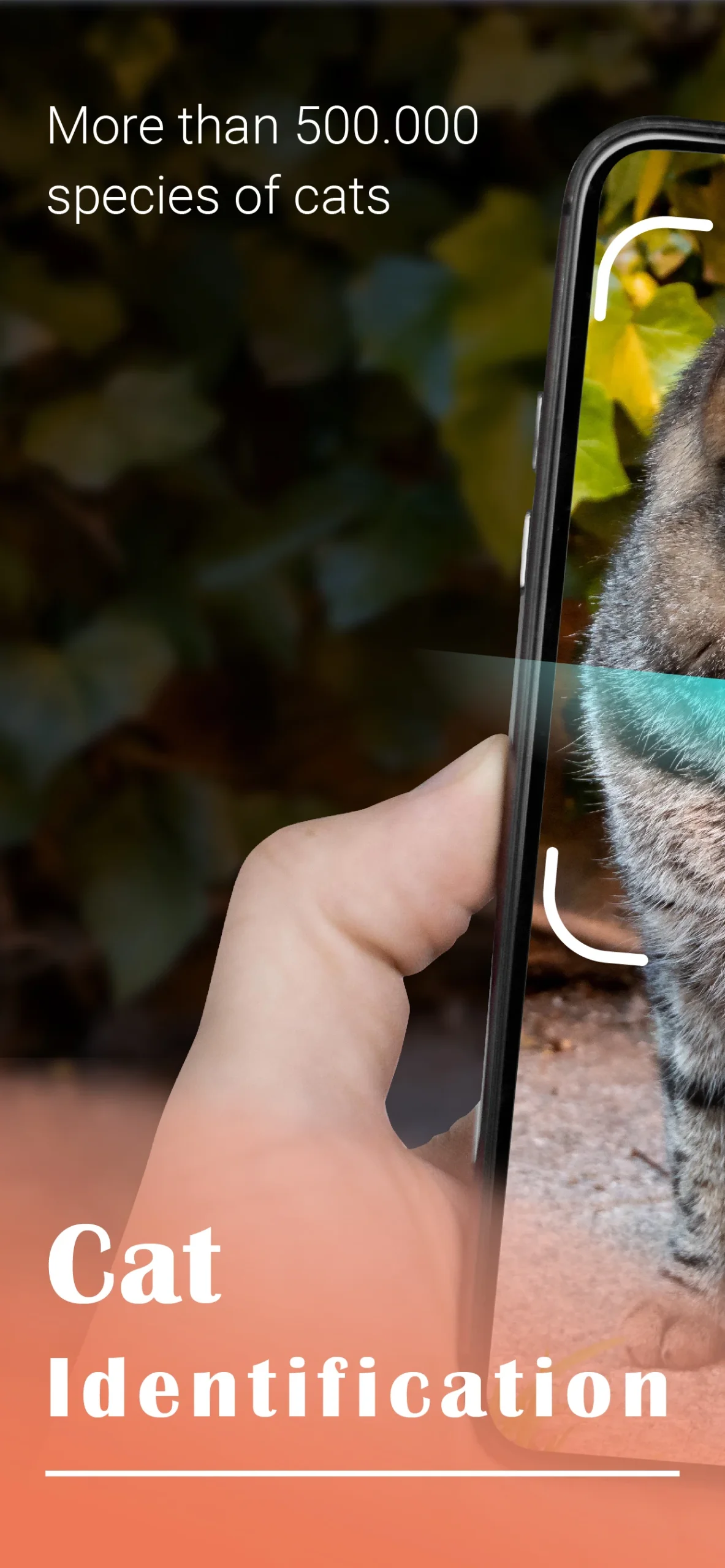 Cat Identifier - Cat Scanner preview image 4