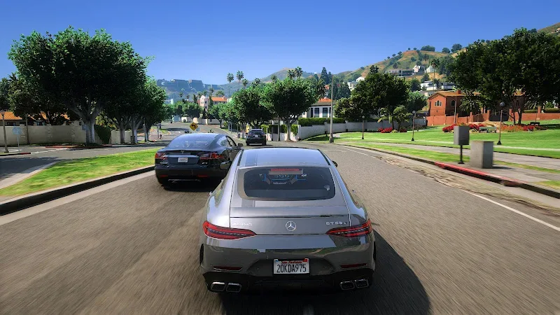 Tangkapan layar Real Car Driving Simulator 3D 5