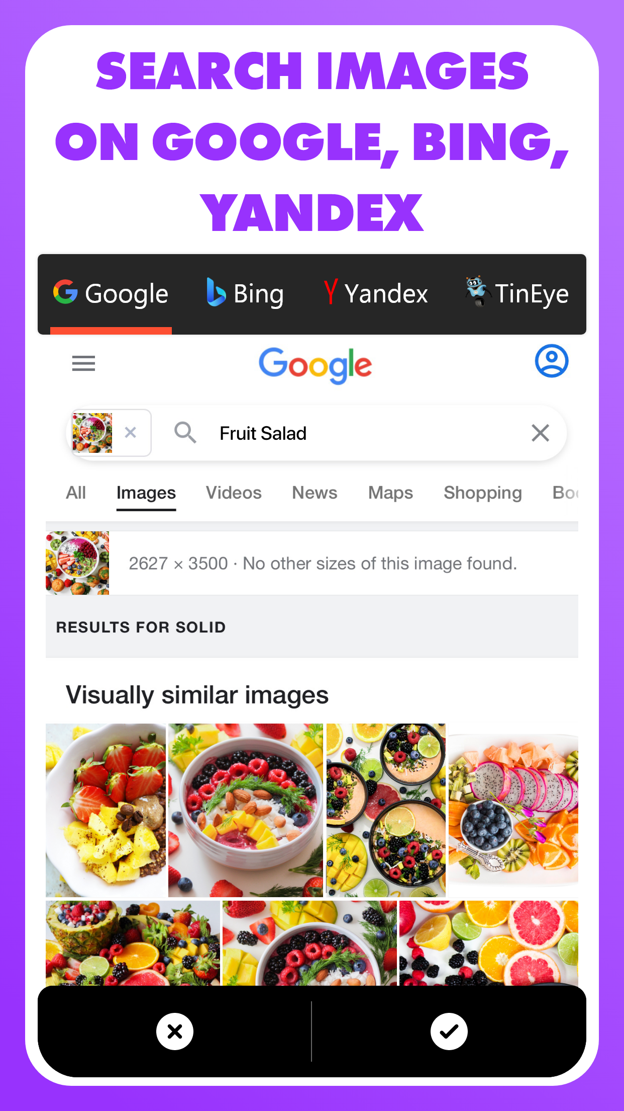 Captura de pantalla de Reverse - Image Search 1