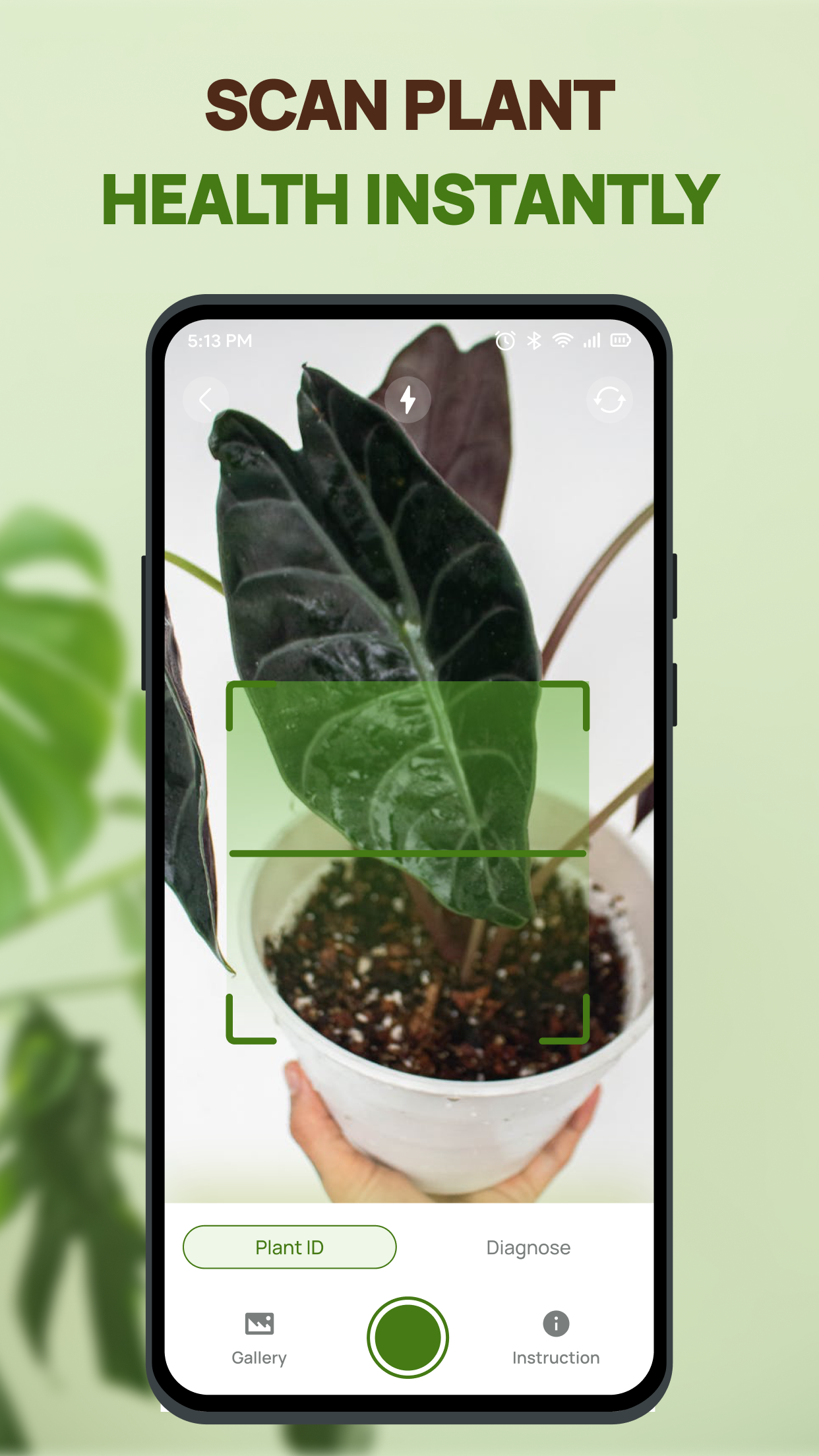 Plant Health Identifier app preview 5