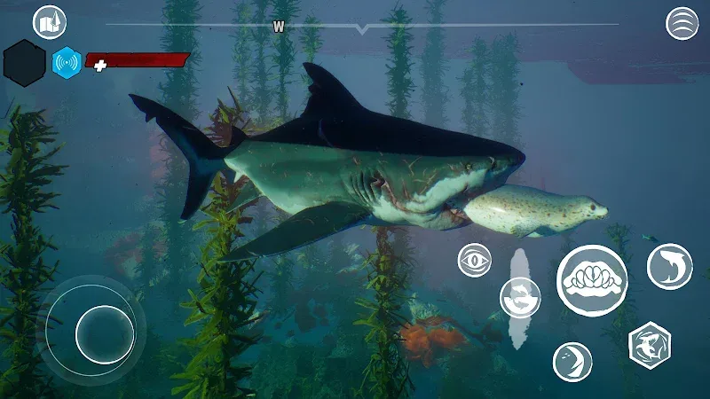 Capture d'écran du gameplay de Maneater 5