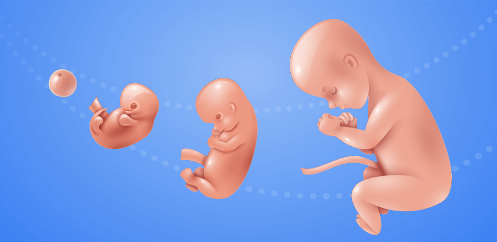 Idle 9 Months gameplay screenshot 1