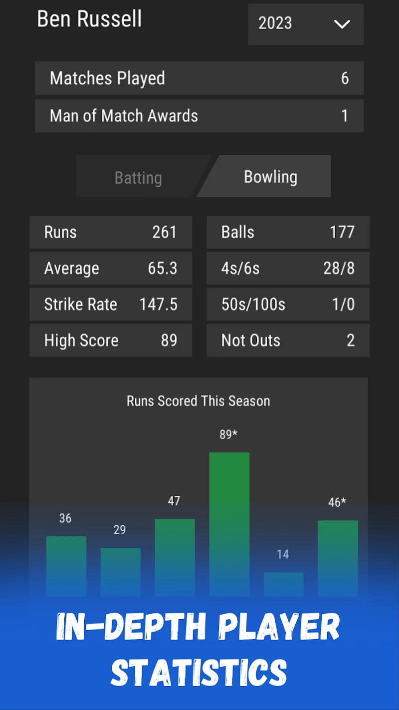 Wicket Cricket Manager screenshot 6