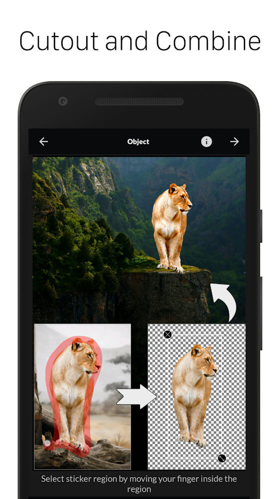 Capture d'écran de l'application LightX Pro 3