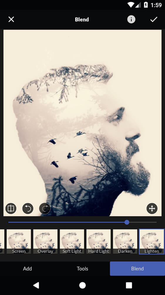 Capture d'écran de l'application LightX Pro 2