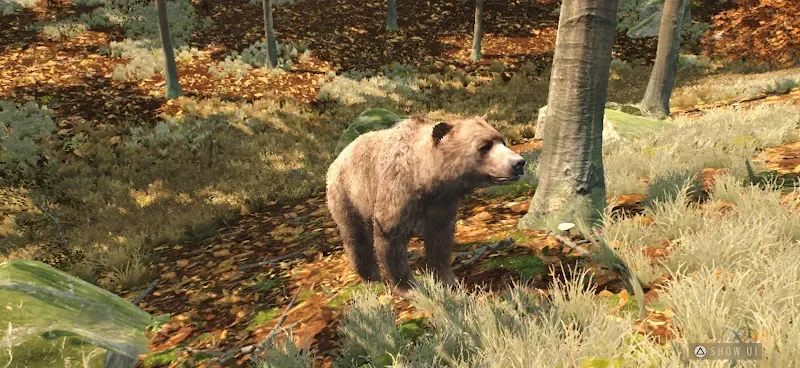 Way of the Hunter Wild Europe tangkapan layar gameplay 2