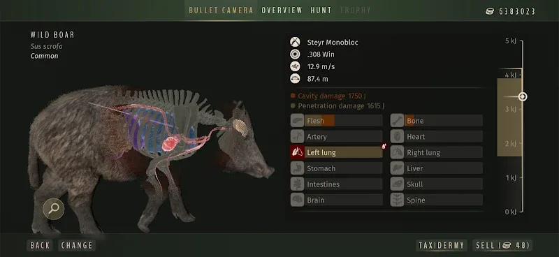 Way of the Hunter Wild Europe tangkapan layar gameplay 5