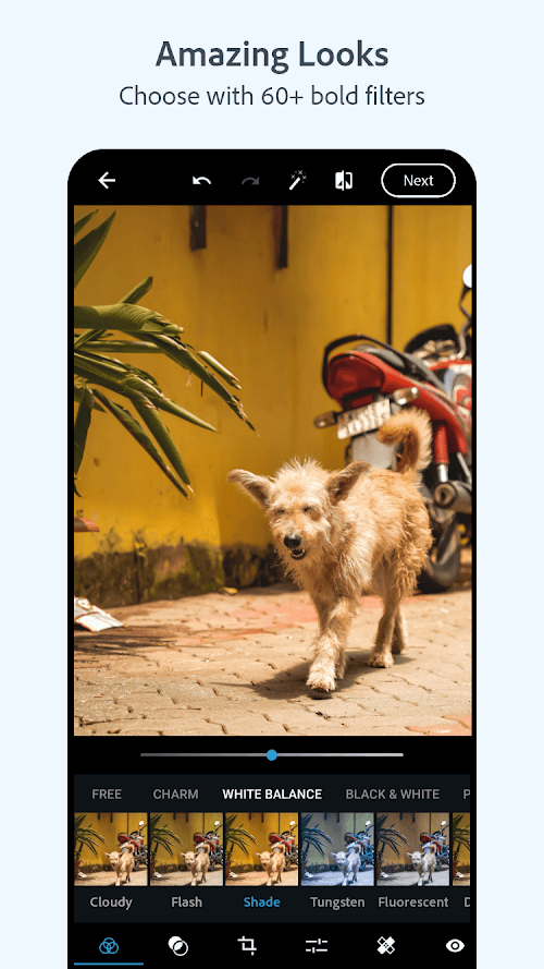 Photoshop Express screenshot 3