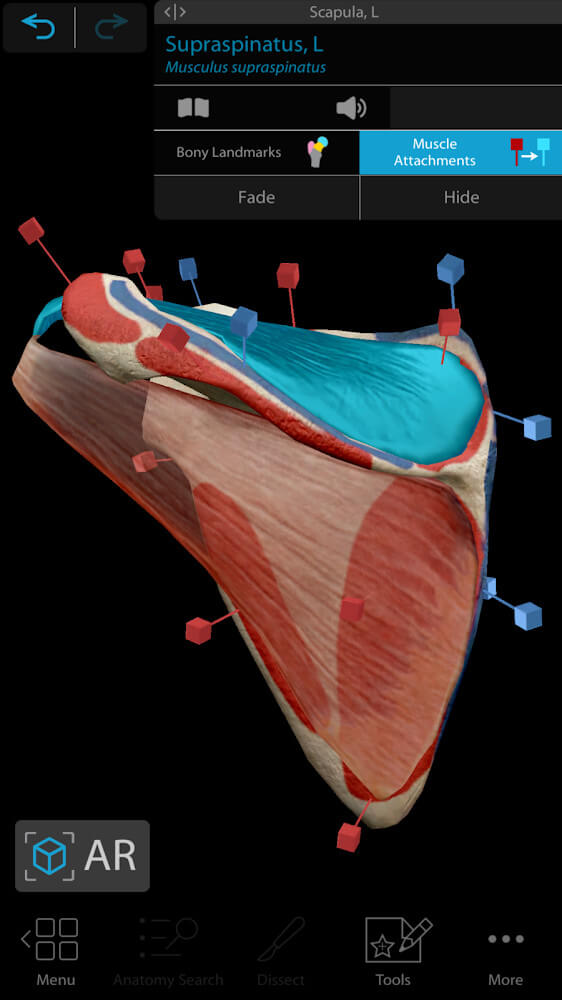 Captura de pantalla 5 de Human Anatomy Atlas 2024