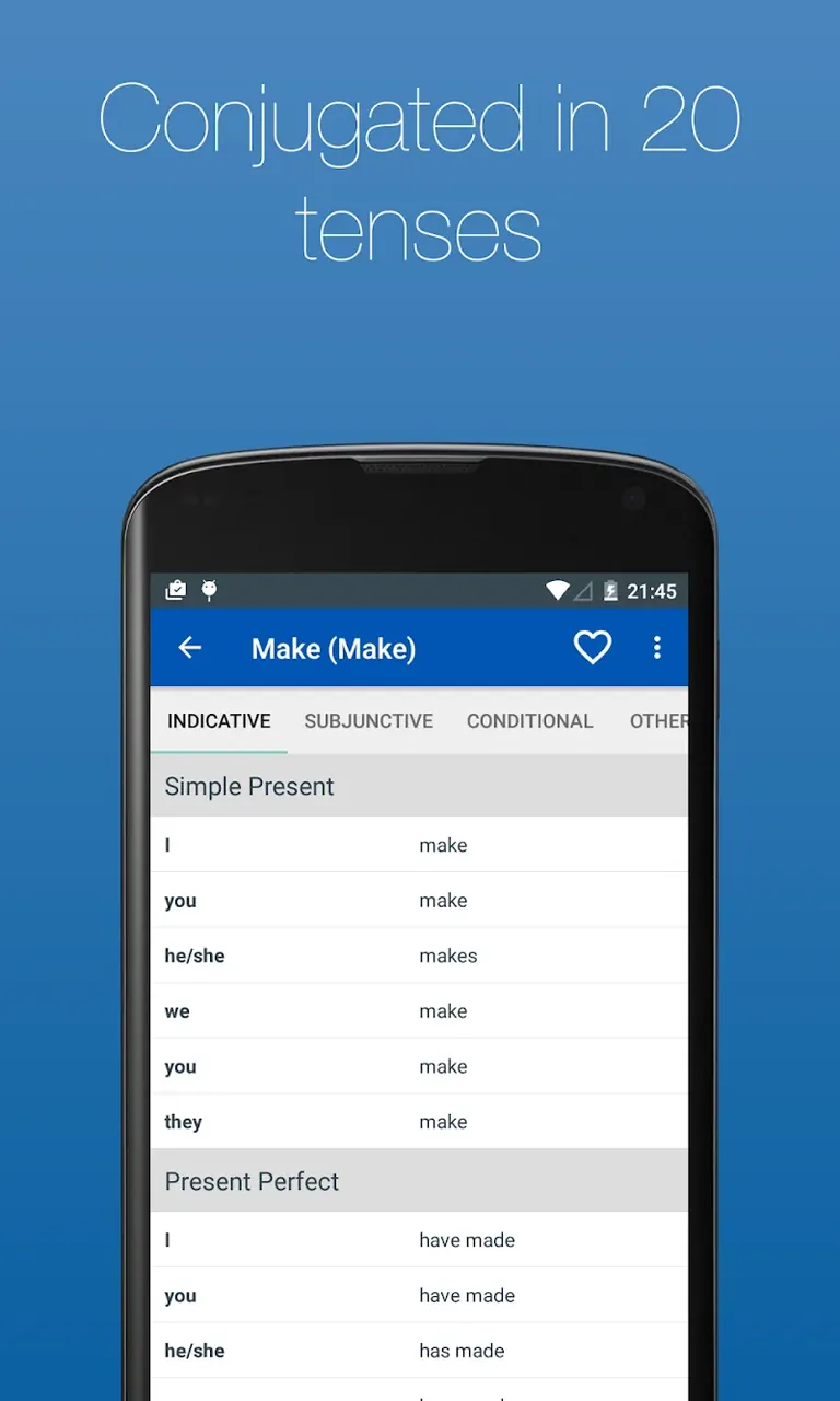 English Verb Conjugator Pro app preview 5
