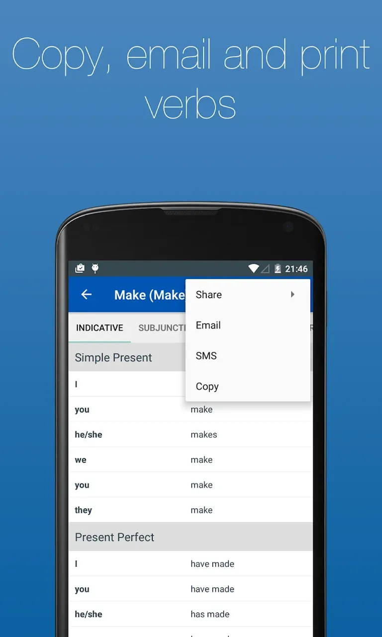 English Verb Conjugator Pro app preview 6