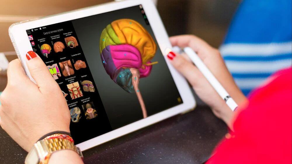 Anatomy Learning - Atlas de Anatomía 3D captura de pantalla 3