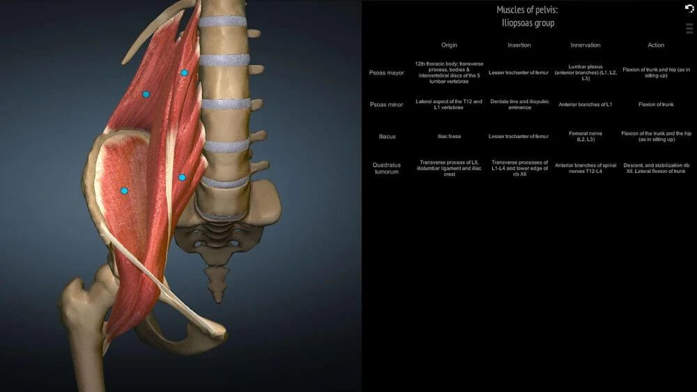 Anatomy Learning - Atlas de Anatomía 3D captura de pantalla 6