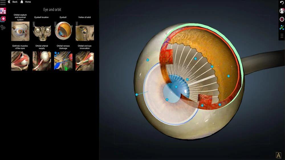 Anatomy Learning - Atlas de Anatomía 3D captura de pantalla 4