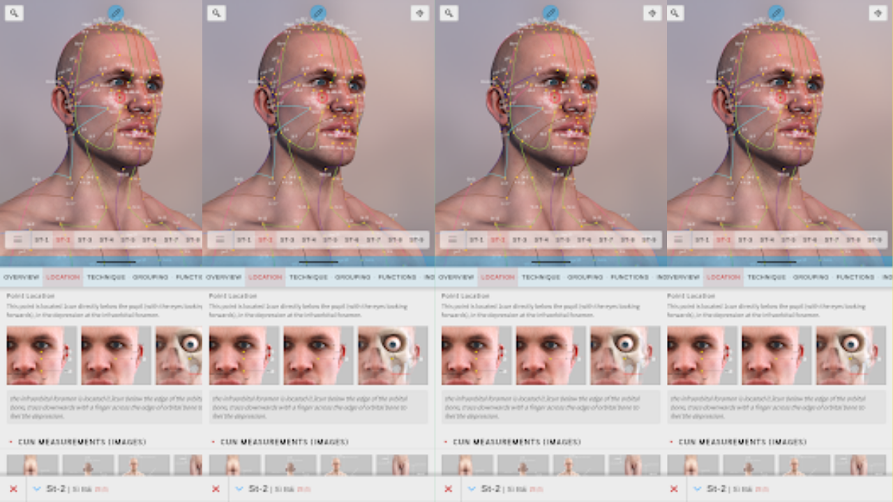 Acupuncture Atlas 3D app screenshot 1