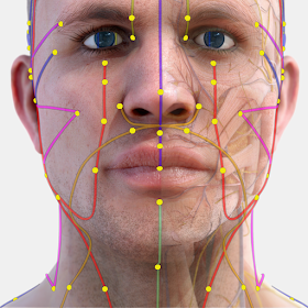 Acupunture Atlas 3D