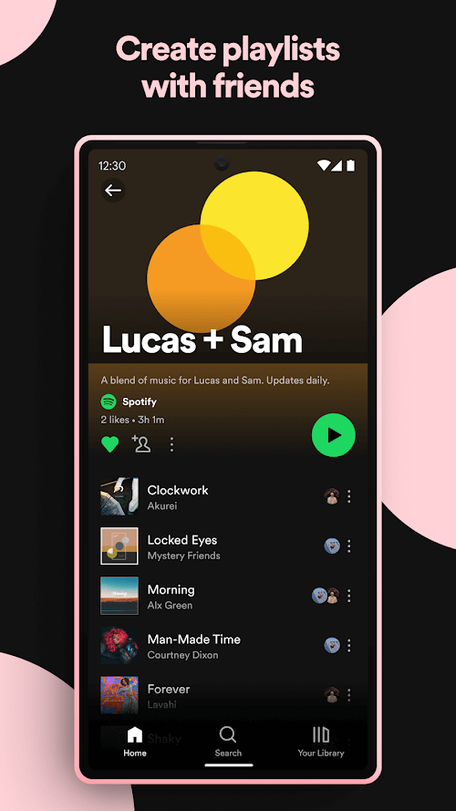 Hình ảnh Spotify Music 4