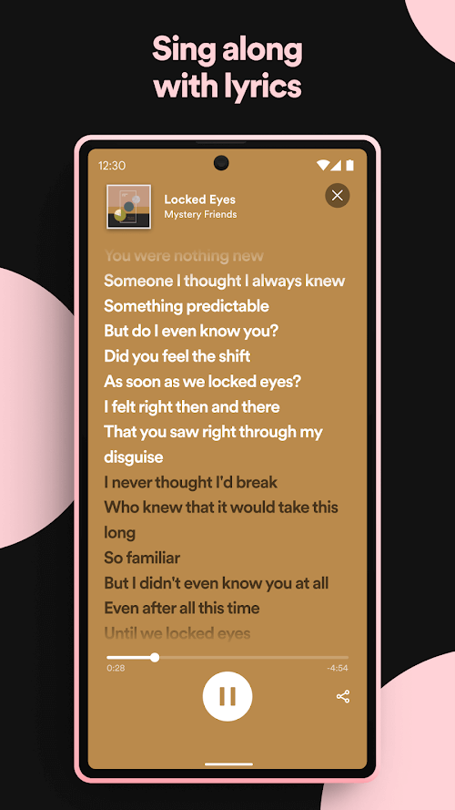 Hình ảnh Spotify Music 5
