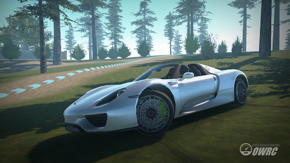 OWRC: Open World Racing screenshot 4