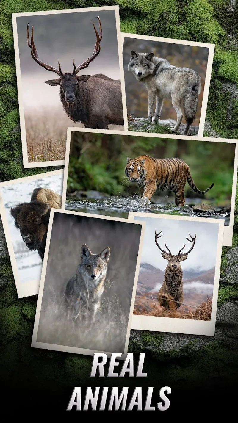 Trophy, Hunter – Hunting Game screenshot 2