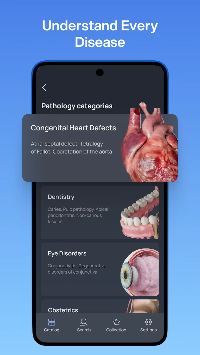 VOKA 3D Anatomy and Physiology screenshot 3