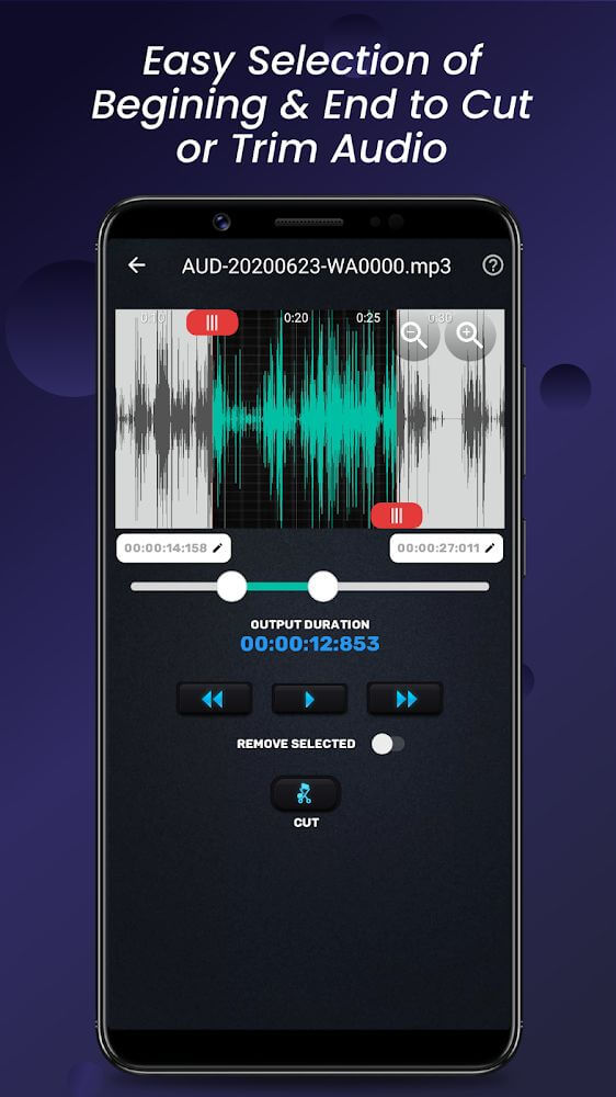 Audio Video Manager screenshot 3