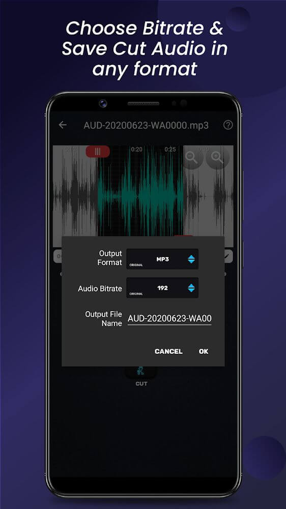 Audio Video Manager screenshot 4
