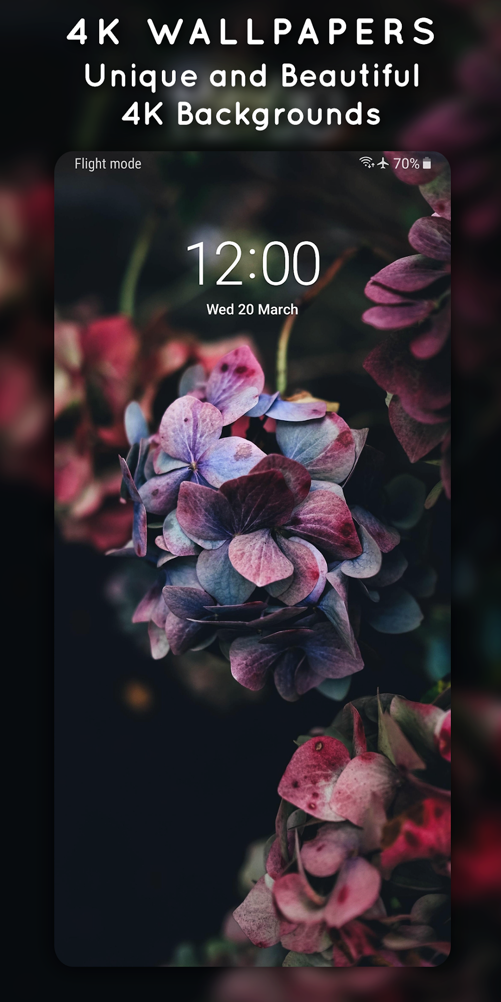 Capture d'écran 4K Wallpapers 3