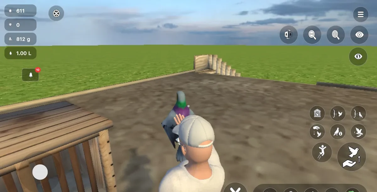 Captura de pantalla del juego Pigeon Paradise 4