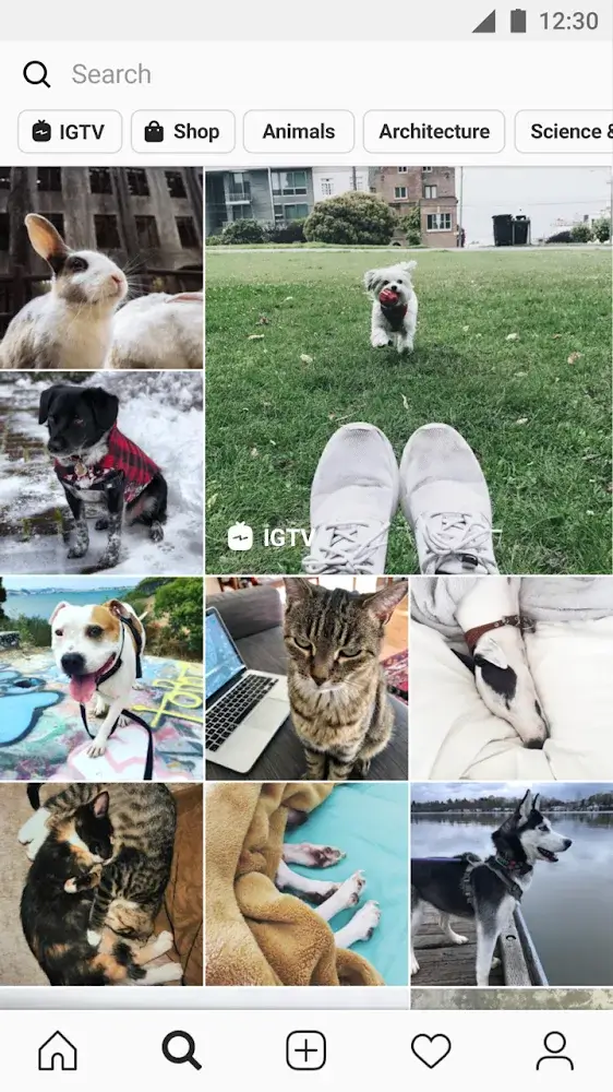 Capture d'écran Instagram 4