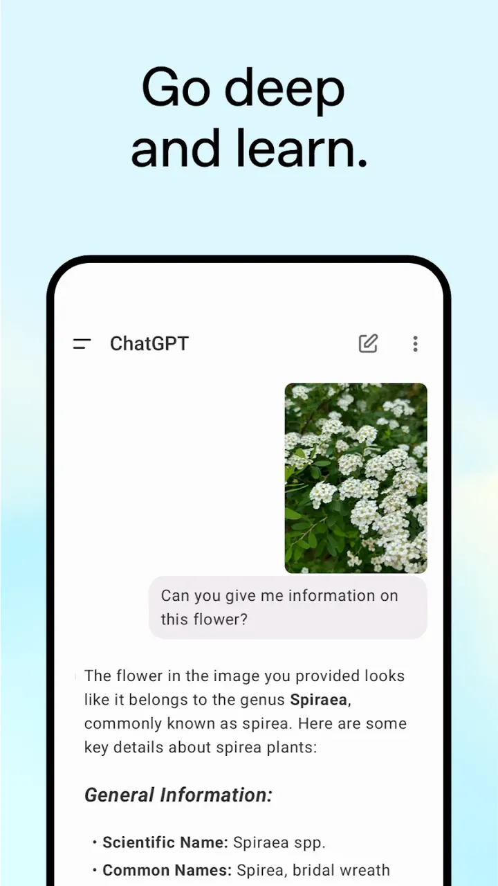 ChatGPT app screenshot 5