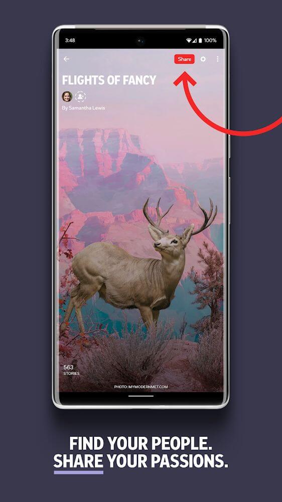 Captura de pantalla de Flipboard 6