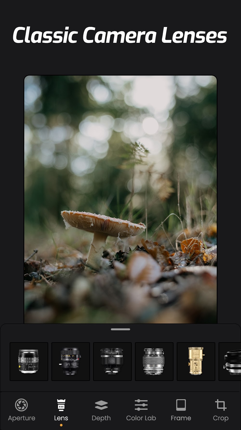 ReLens Camera in-app preview 7