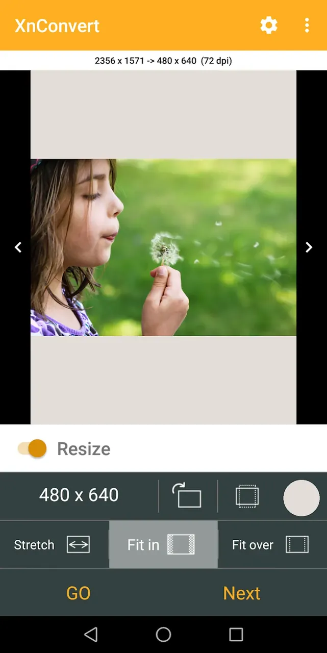 XnConvert - Photo Resize capture d'écran 4