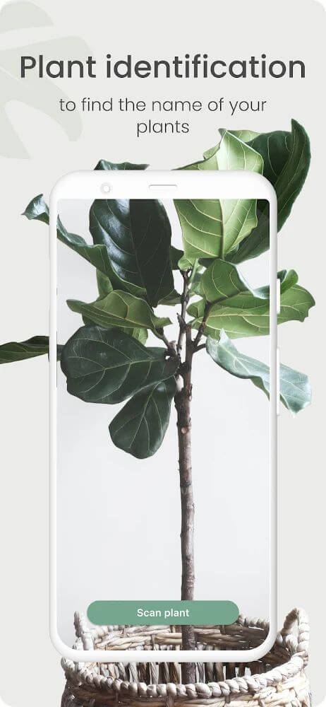 Captura de Pantalla de Planta 5