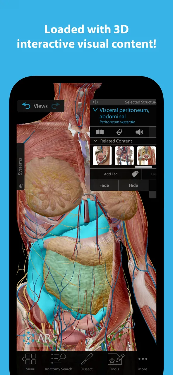 Human Anatomy Atlas 2026 screenshot 6