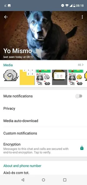 Capture d'écran GBWhatsApp 2