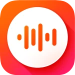 VoiceX