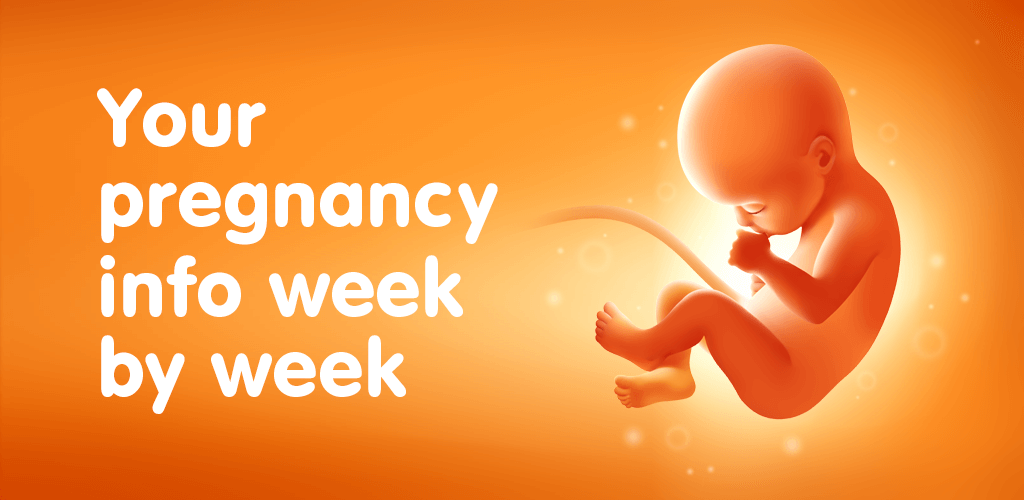 Capture d'écran Pregnancy Tracker 1