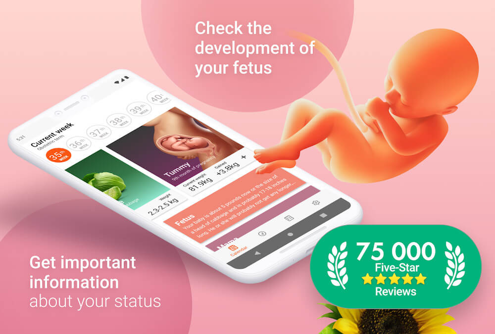 Capture d'écran Pregnancy Tracker 2