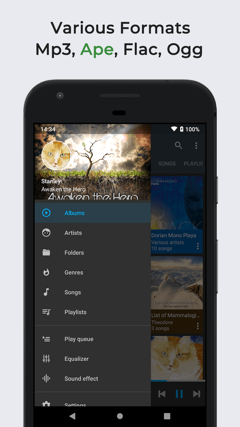 Capture d'écran Omnia Music Player 3