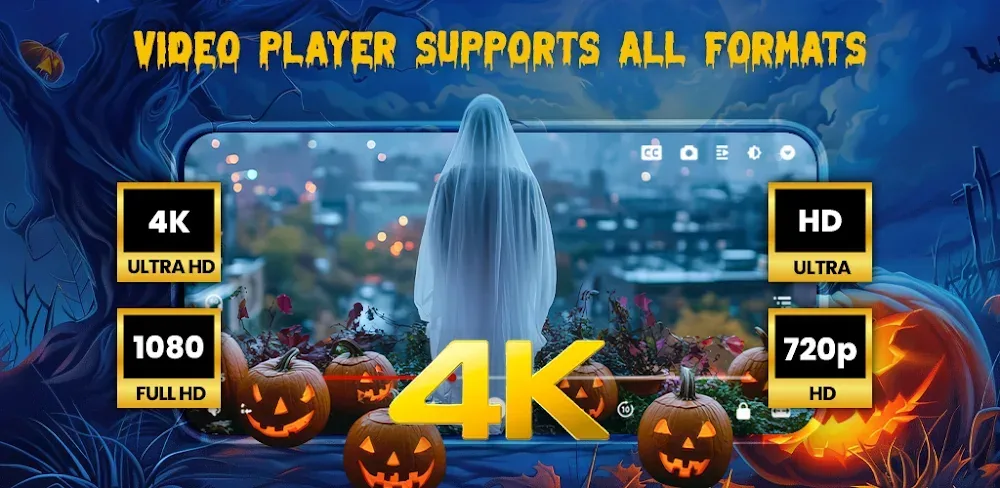 Capture d'écran de l'application HDx Player 1