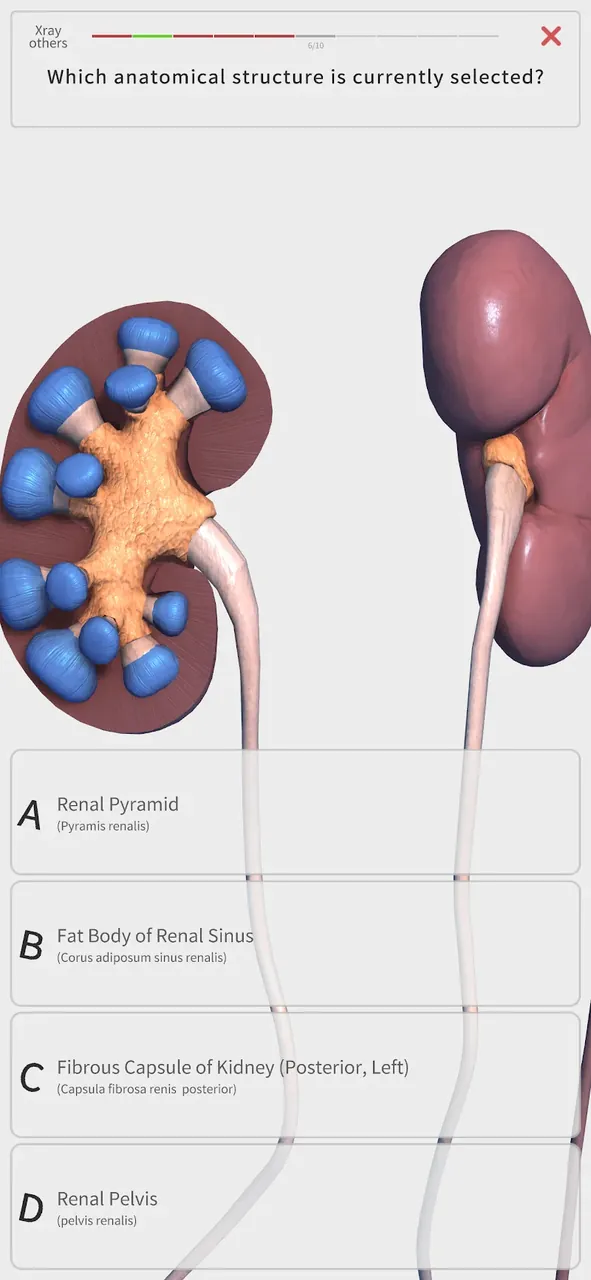 Visual Anatomy 3D captura de pantalla dentro de la aplicación 5